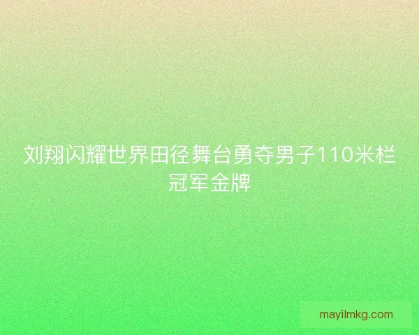 刘翔闪耀世界田径舞台勇夺男子110米栏冠军金牌